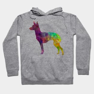 English Toy Terrier in watercolor Hoodie